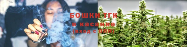 сатива Абинск
