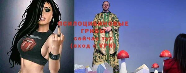 сатива Абинск