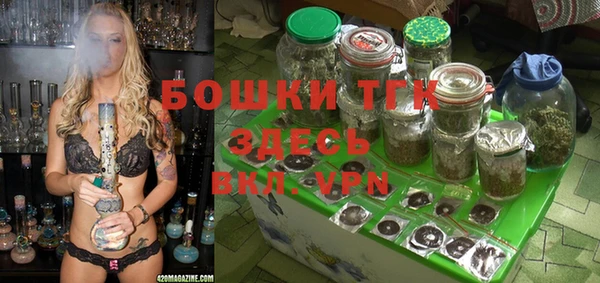 сатива Абинск