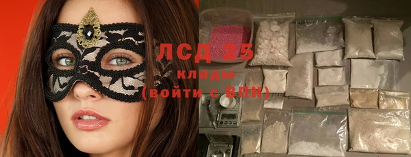 сатива Абинск